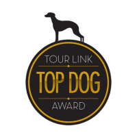 Top Dog Logo Design