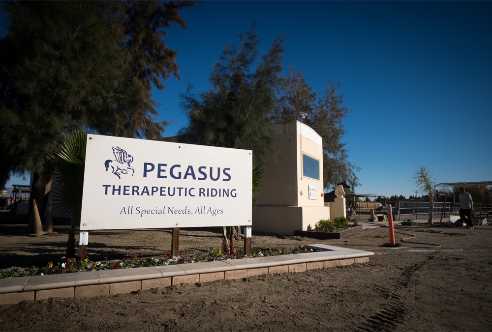 Pegasus-Sign-1