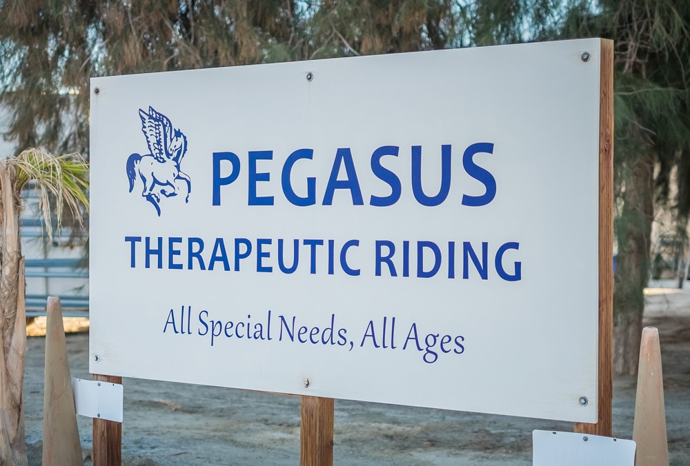 Pegasus-Sign-2